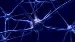 cbd contre problemes neurologiques