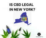 Es el CBD legal en Nueva York