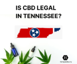 Is CBD legal in Tennessee